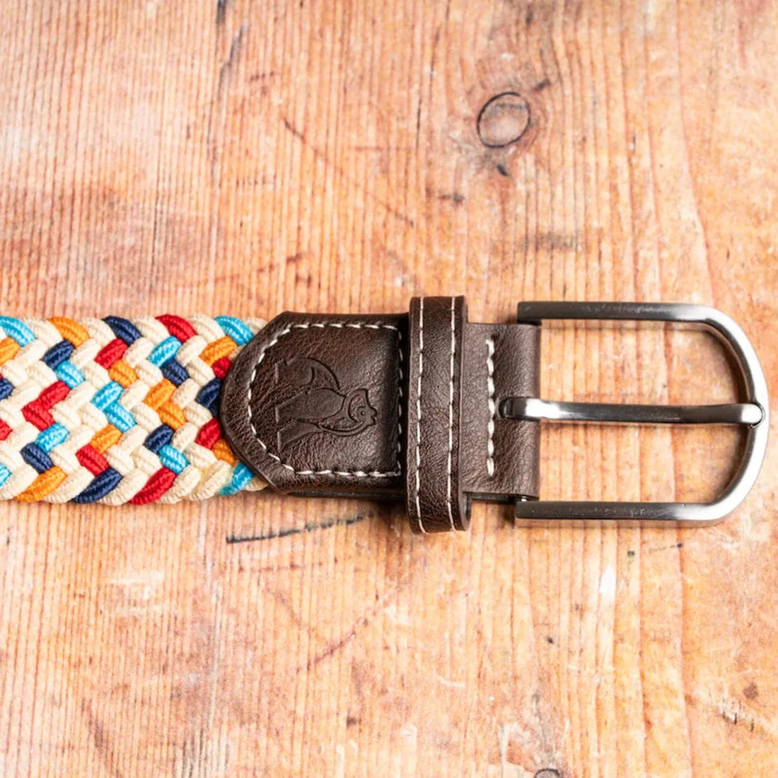 Swole Panda Woven Belt in Multicolour Zig-Zag